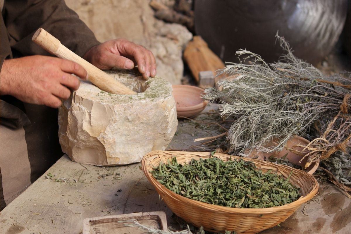 Traditional Irish Herbs from a local grower